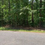 stillwaters wooded interior lot